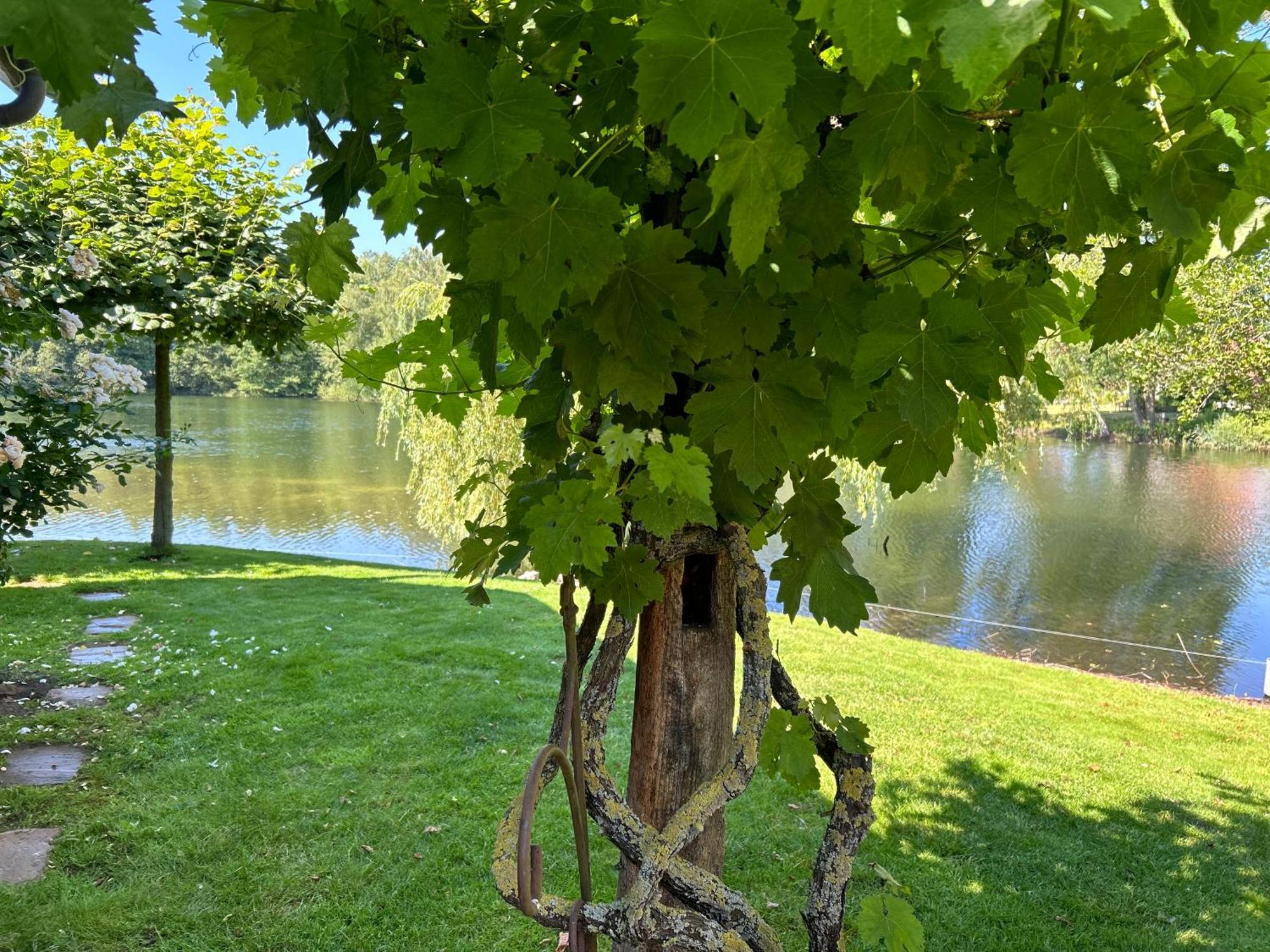 Gemuetliches Fachwerkhaus Am See Mit Kamin Warendorf Exterior photo