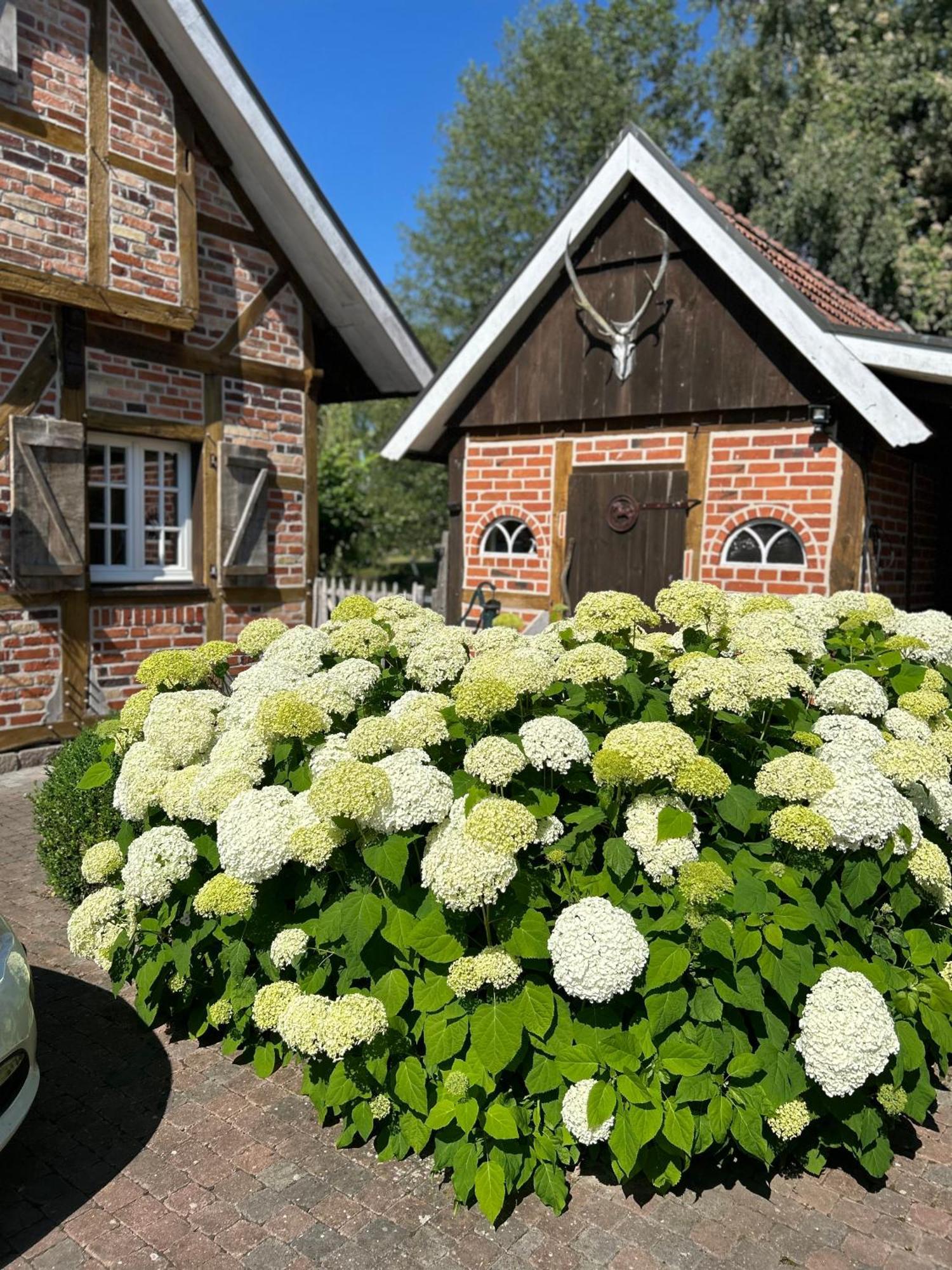 Gemuetliches Fachwerkhaus Am See Mit Kamin Warendorf Exterior photo